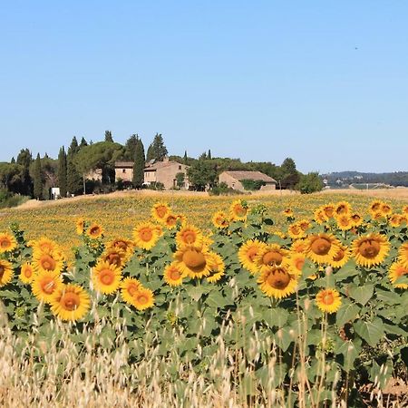 Il Poggio B&B Ginestra Fiorentina Zewnętrze zdjęcie